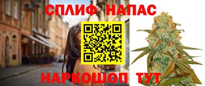 spice Камышлов