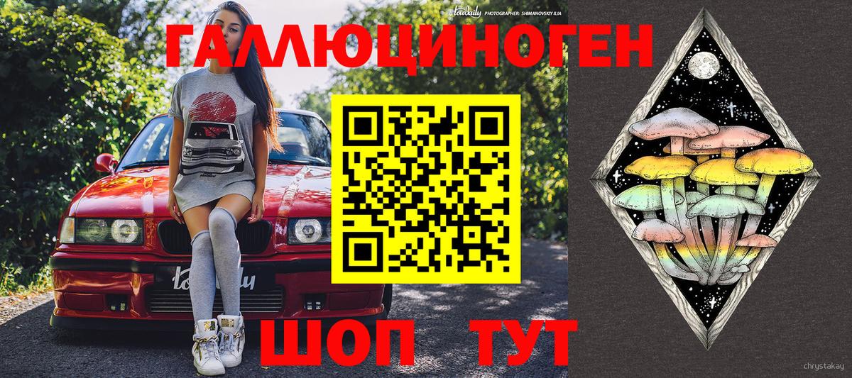 Псилоцибиновые грибы мицелий Красноармейск