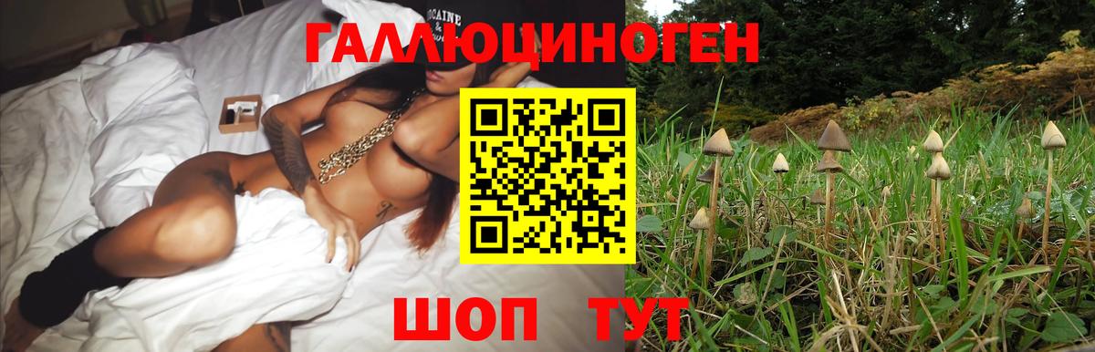 Красноармейск  Псилоцибиновые грибы Psilocybine cubensis  Галлюциногенные грибы Magic Shrooms  Вход с VPN 